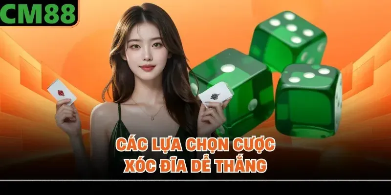 Các lựa chọn cược xóc đĩa dễ thắng