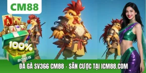 Đá Gà SV366 CM88 – Sảnh Cá Cược Kịch Tính Tại ICM88.com
