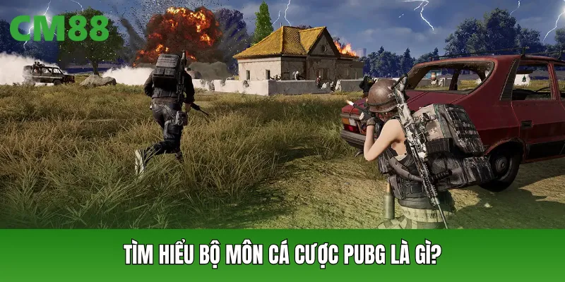 Tìm hiểu bộ môn cá cược PUBG là gì?