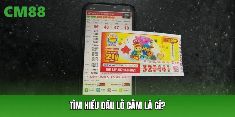 Tìm hiểu Đầu Lô Câm là gì?