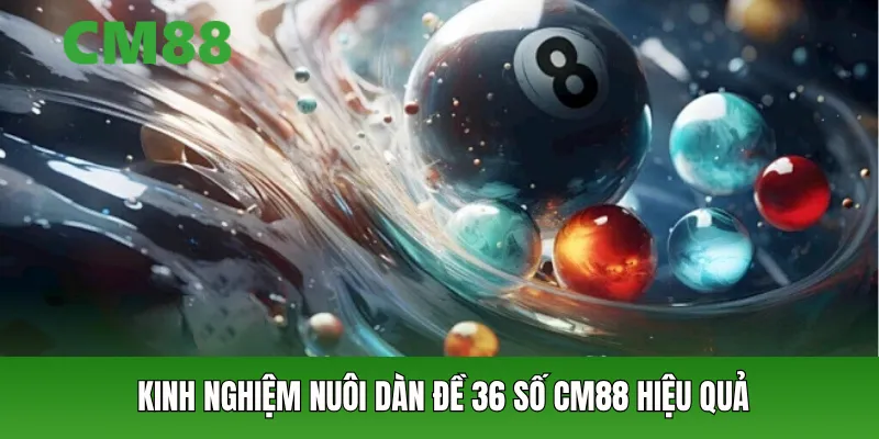 Kinh nghiệm nuôi dàn đề 36 số CM88 hiệu quả