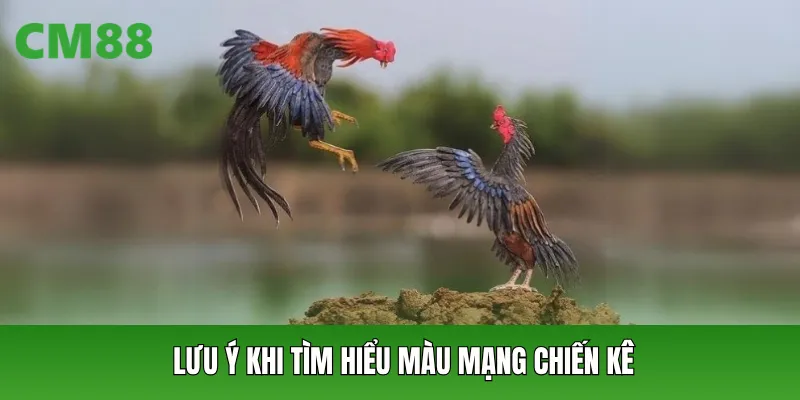 Lưu ý khi tìm hiểu màu mạng chiến kê