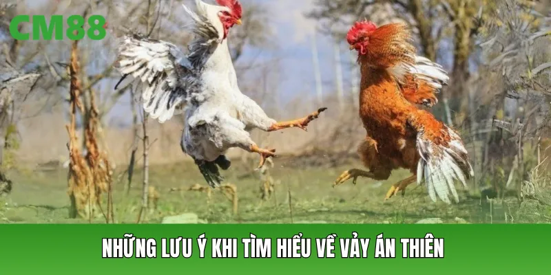 Những lưu ý khi tìm hiểu về vảy án thiên
