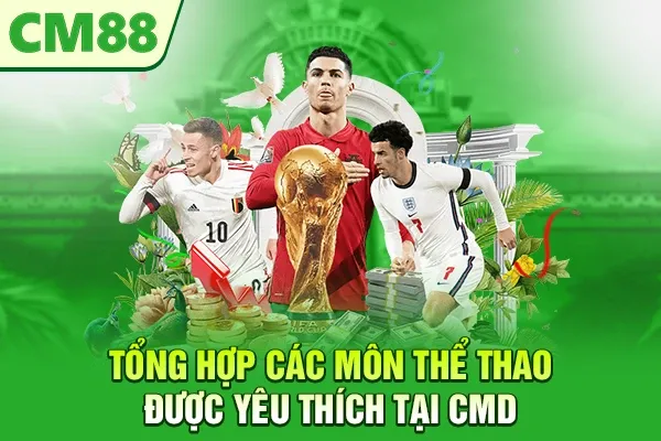 Tổng hợp các môn thể thao được yêu thích tại CMD